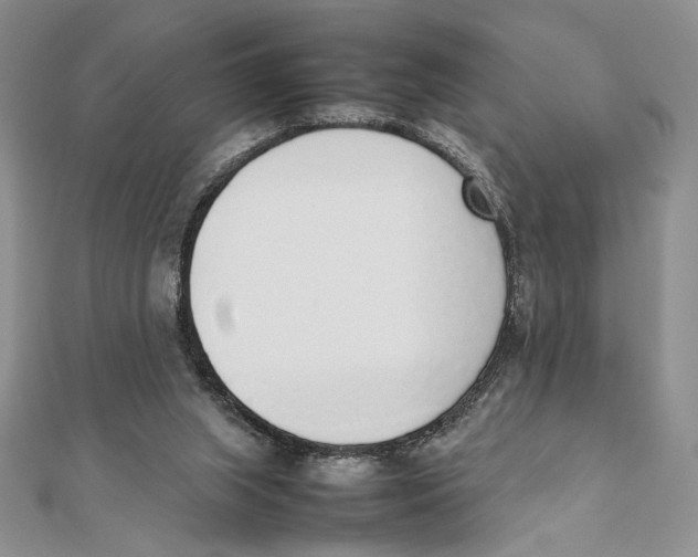 X0000111650063200908141301