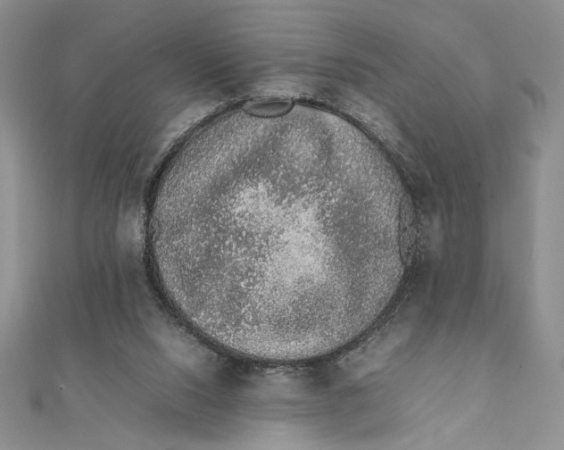 X0000111650064200908141301