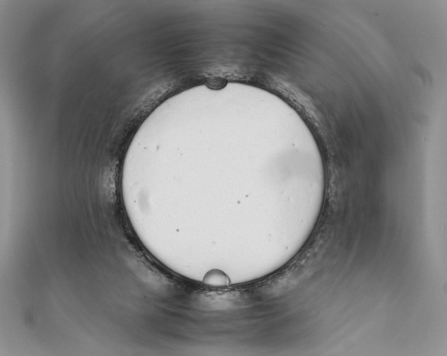 X0000111650065200908141301