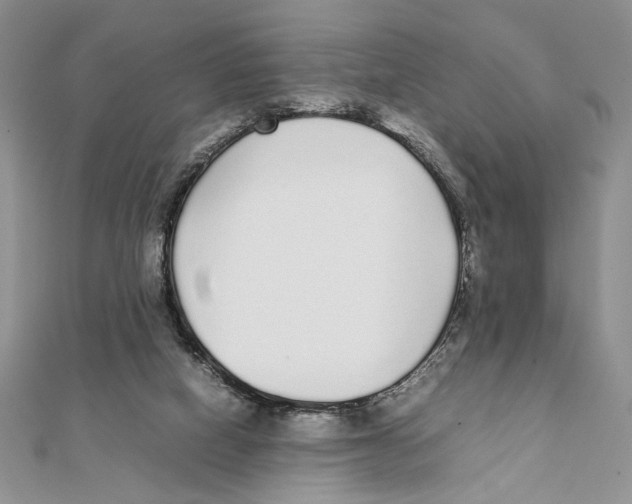 X0000111650066200908141301