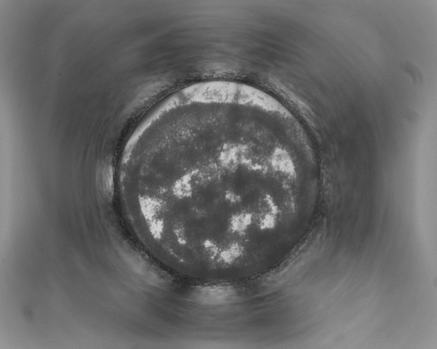 X0000111650067200908141301