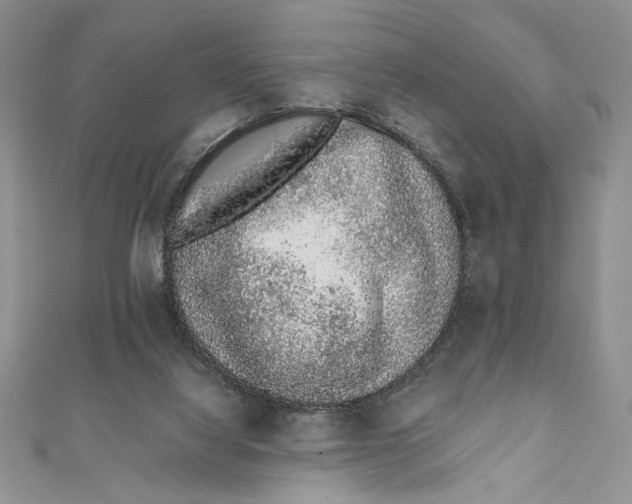 X0000111650068200908141301