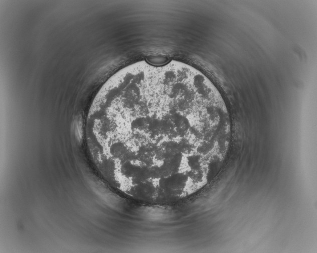 X0000111650069200908141301