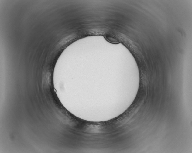 X0000111650071200908141301