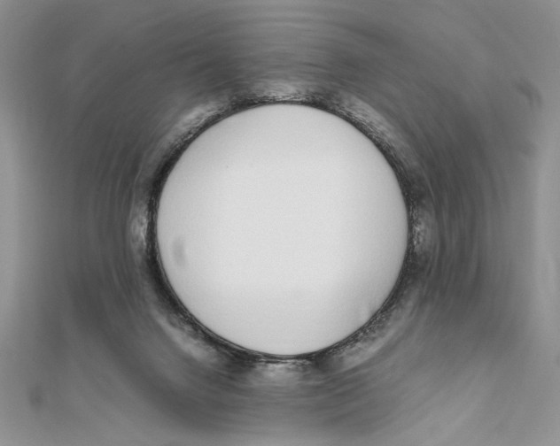 X0000111650072200908141301