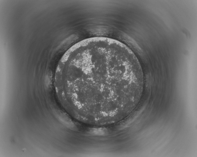 X0000111650073200908141301