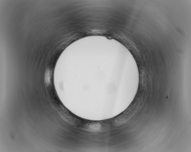 X0000111650075200908141301