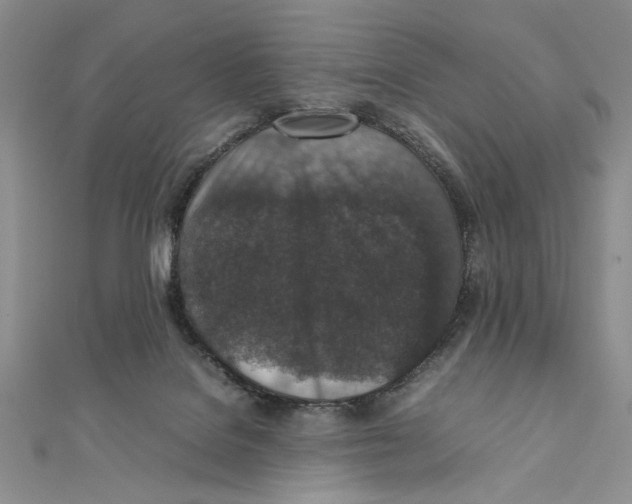 X0000111650076200908141301