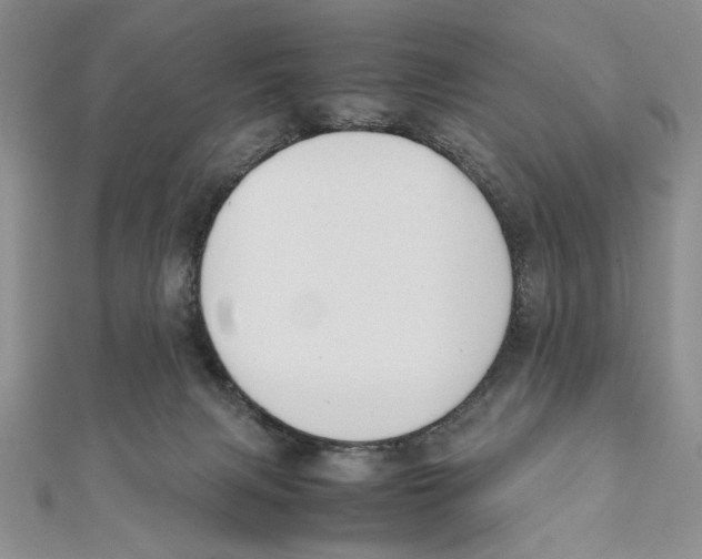 X0000111650079200908141301