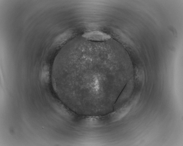 X0000111650080200908141301