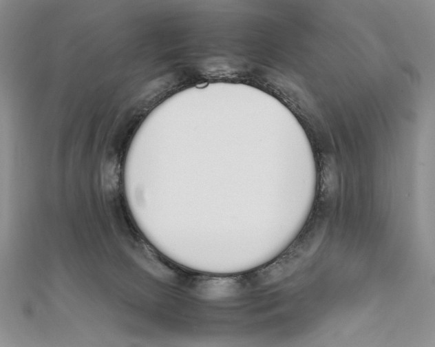 X0000111650081200908141301