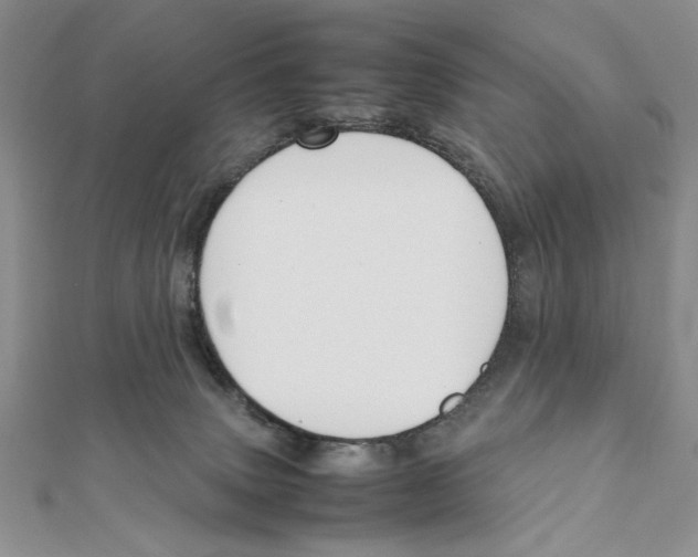 X0000111650083200908141301