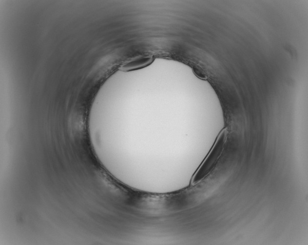 X0000111650084200908141301