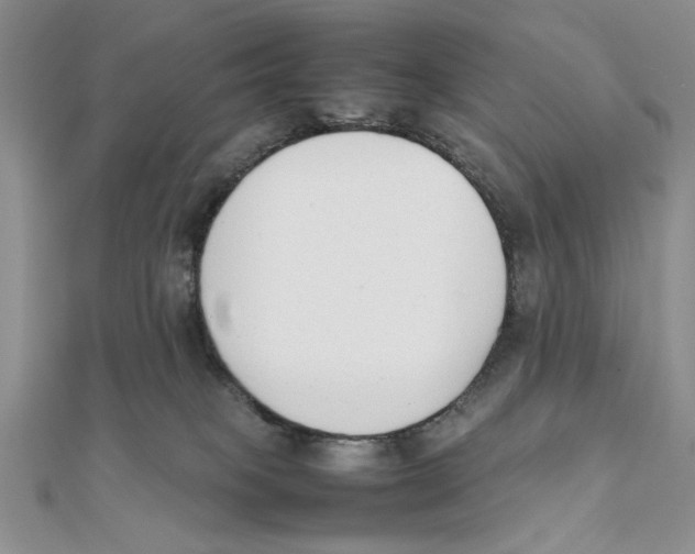 X0000111650085200908141301
