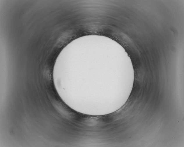 X0000111650086200908141301