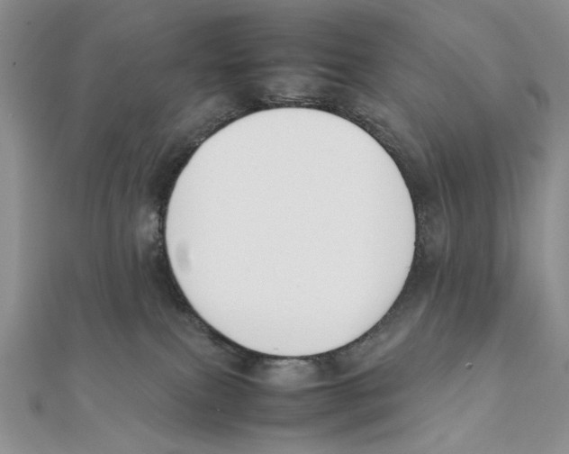 X0000111650087200908141301