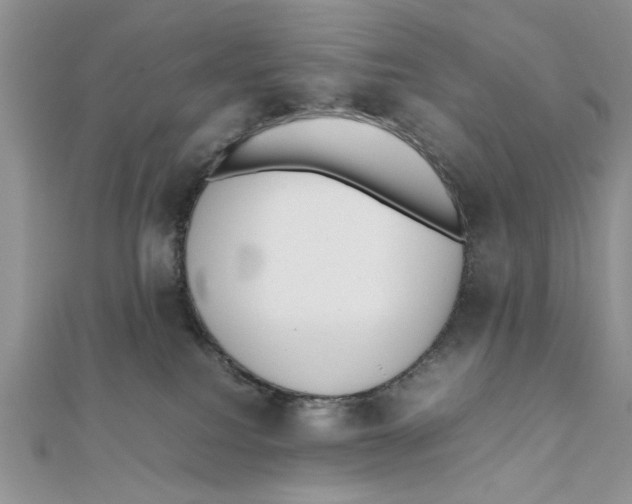 X0000111650088200908141301