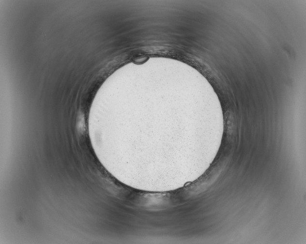 X0000111650089200908141301