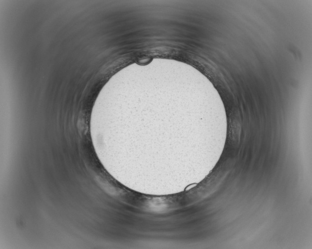 X0000111650091200908141301