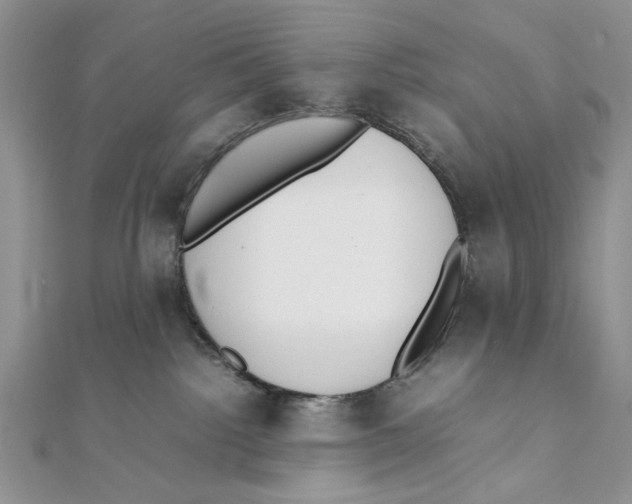 X0000111650092200908141301