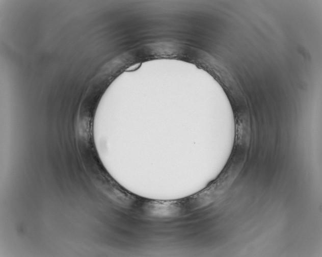 X0000111650093200908141301
