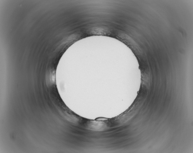X0000111650095200908141301
