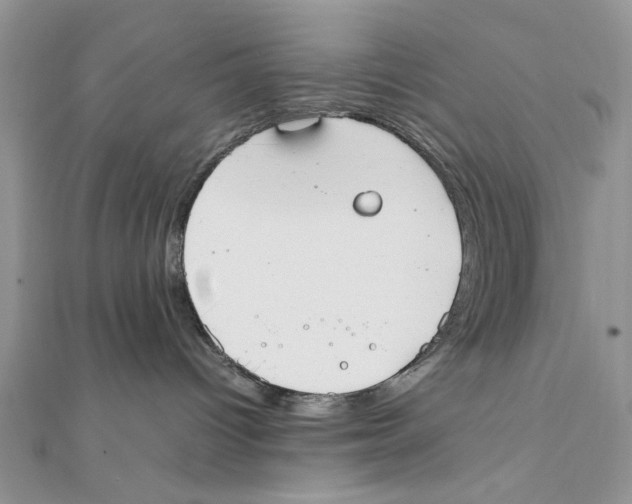 X0000111650096200908141301