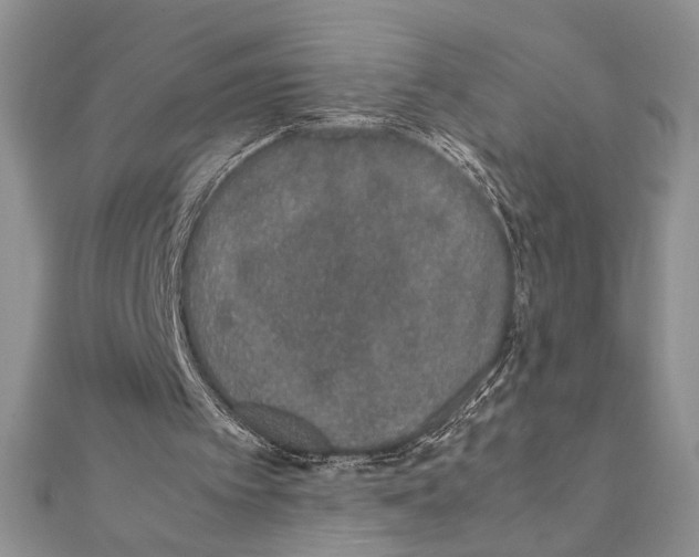 X0000111650097200908141301