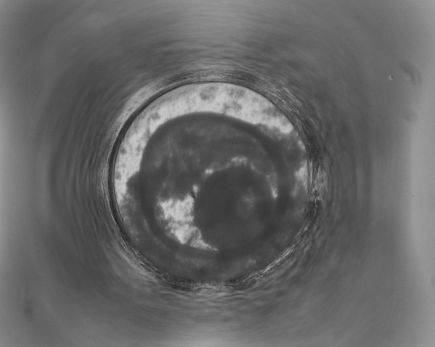 X0000111650099200908141301