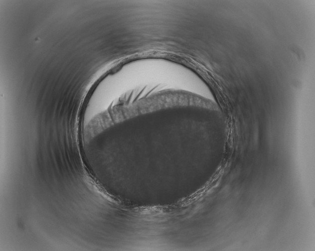 X0000111650100200908141301