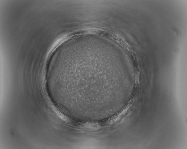 X0000111650101200908141301