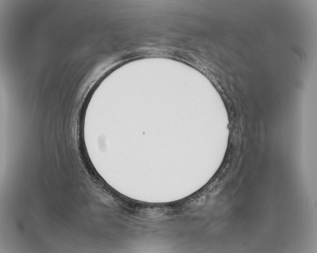 X0000111650103200908141300