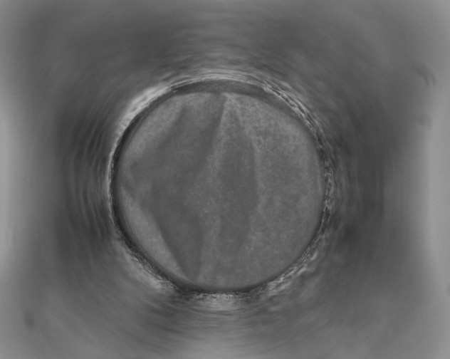 X0000111650104200908141300