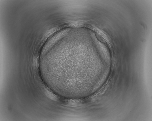 X0000111650105200908141300