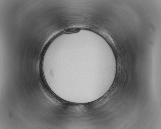 X0000111650108200908141300