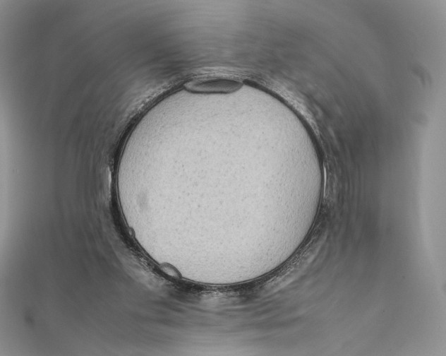 X0000111650109200908141300