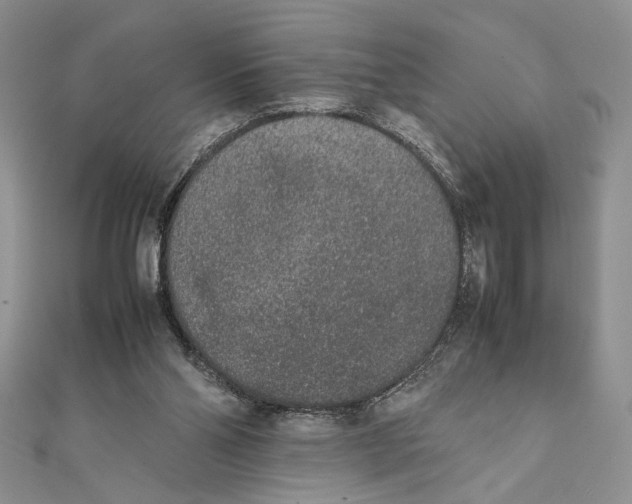 X0000111650110200908141300