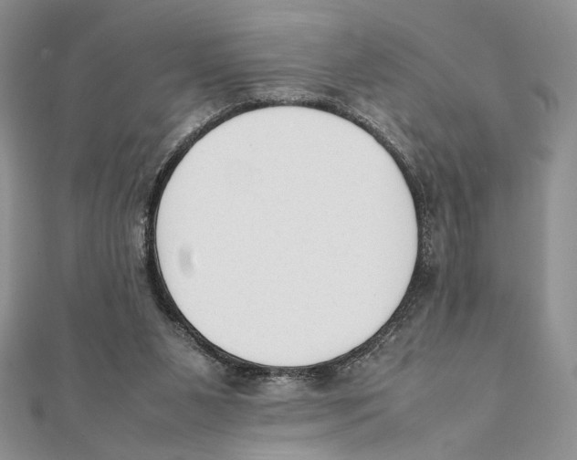 X0000111650111200908141300