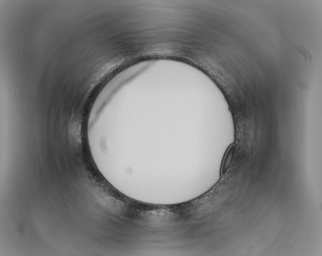 X0000111650112200908141300