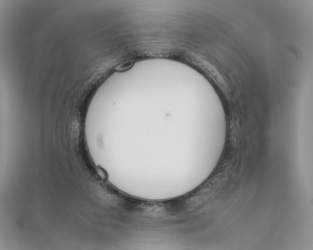 X0000111650113200908141300
