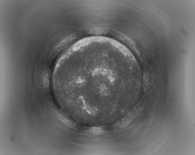 X0000111650114200908141300