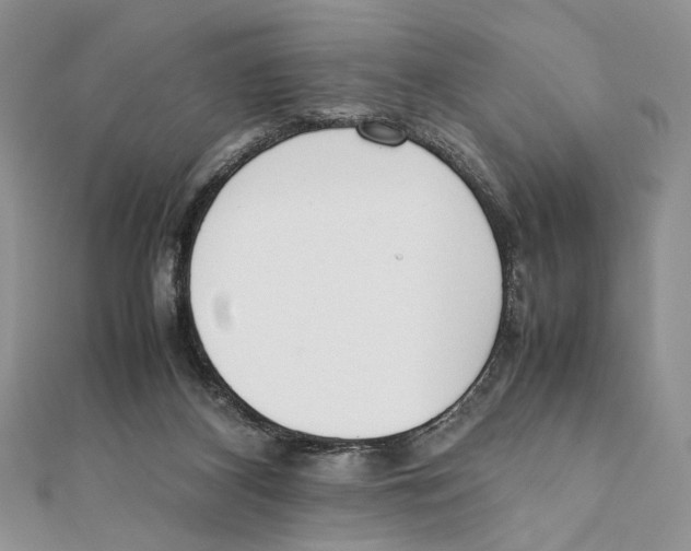 X0000111650116200908141300