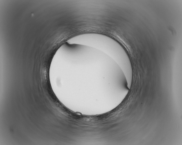 X0000111650117200908141300