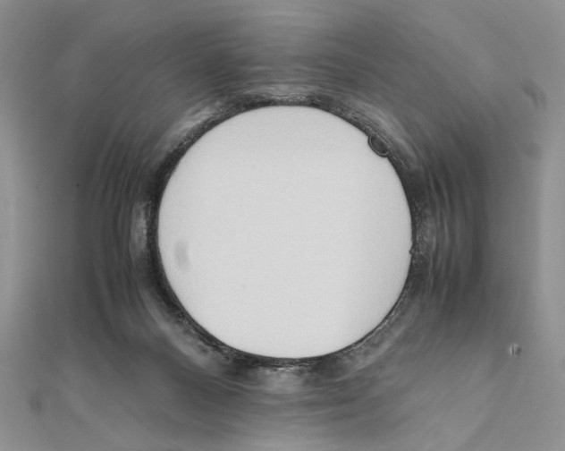 X0000111650120200908141300