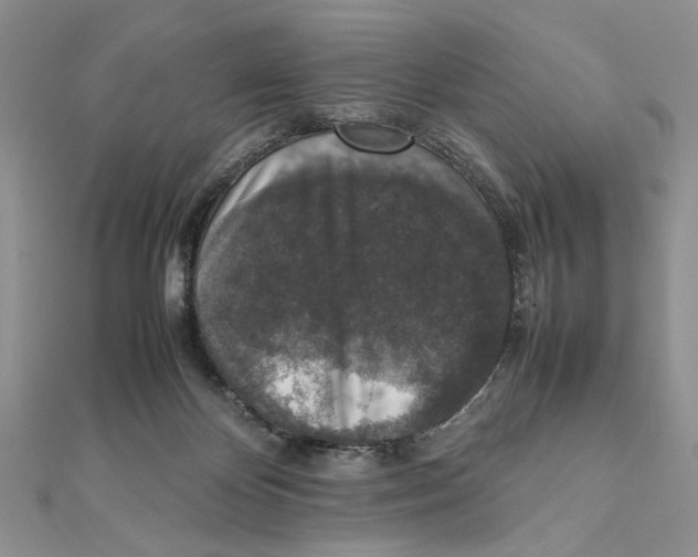 X0000111650124200908141300