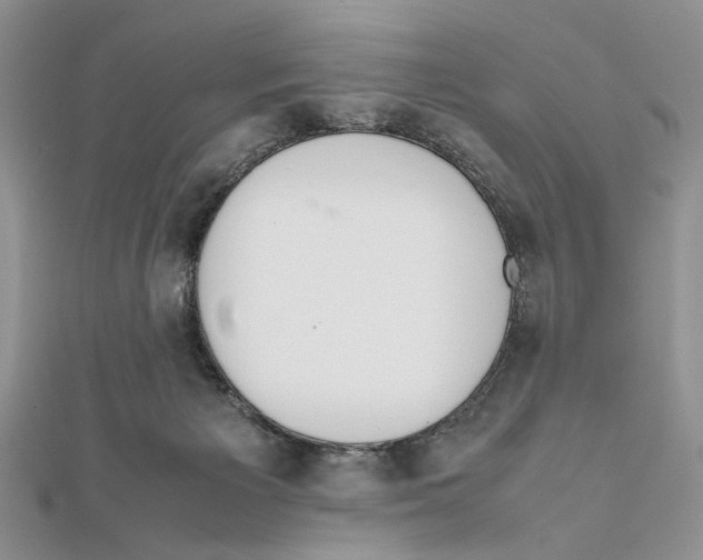 X0000111650125200908141300