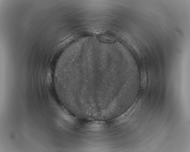 X0000111650128200908141300