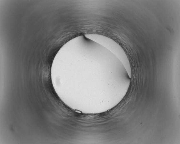 X0000111650129200908141300