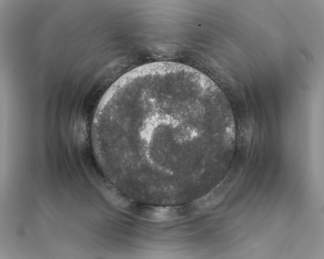 X0000111650130200908141300