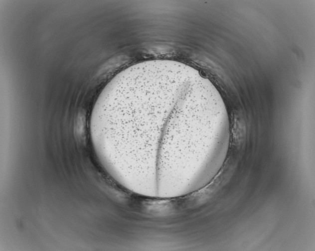 X0000111650132200908141300